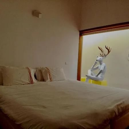 Groove-wood Loft * וילה נובה דה גאיה